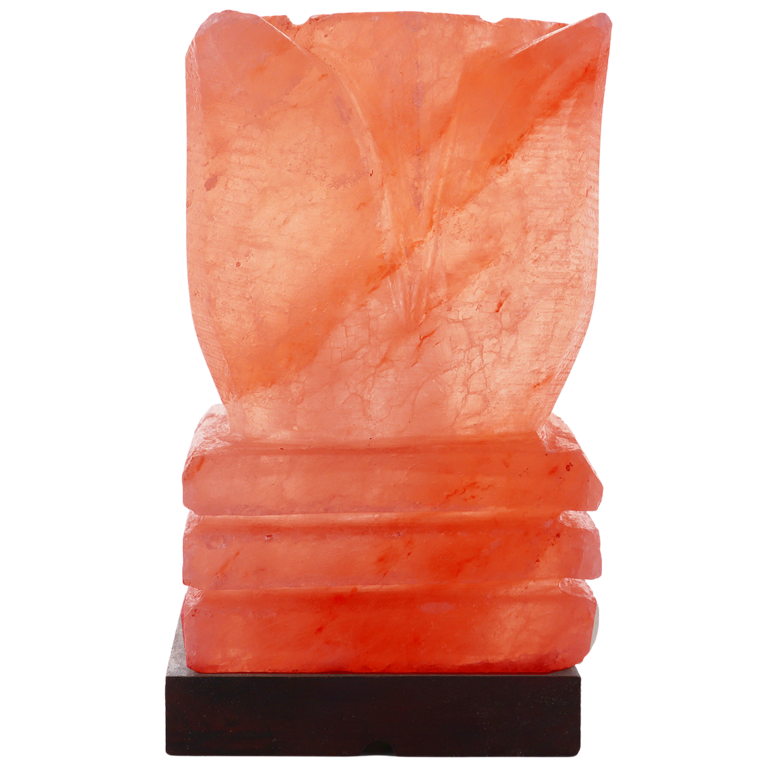 Lampe de sel de l'Himalaya forme rose socle bois livrée en boite individuelle avec cordon et ampoule 10x10 cm Hauteur 18 cm